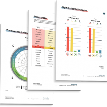 Curso DISC Ventas