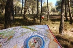 Team building ecotraining