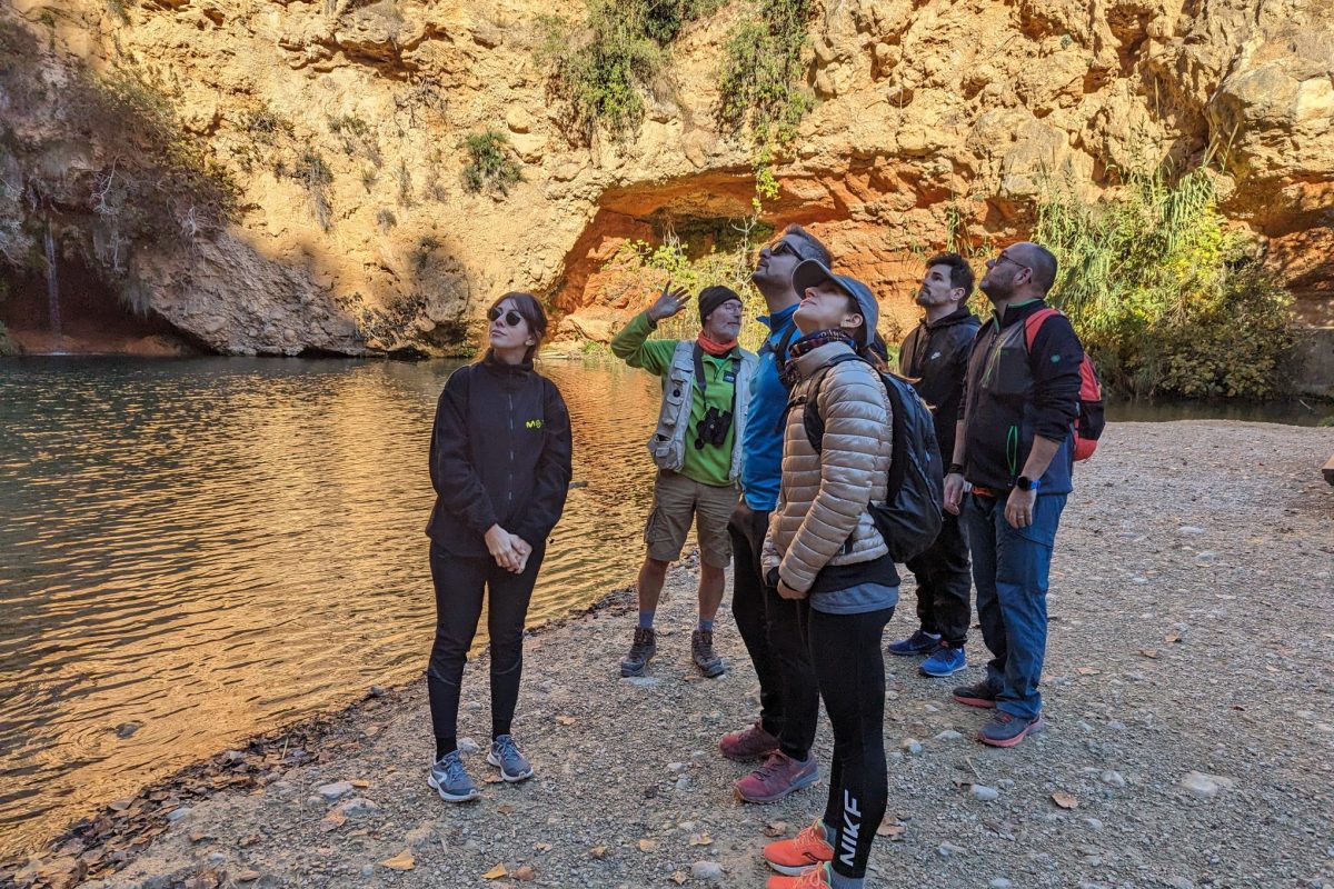 Team Building Ecotraining