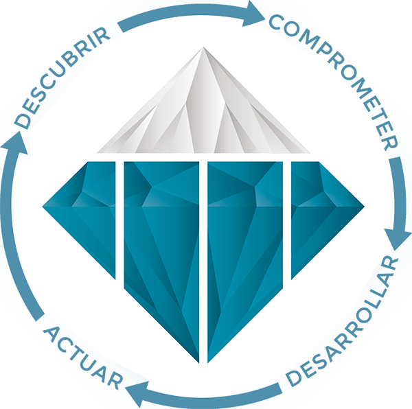 TTI Success Insights
