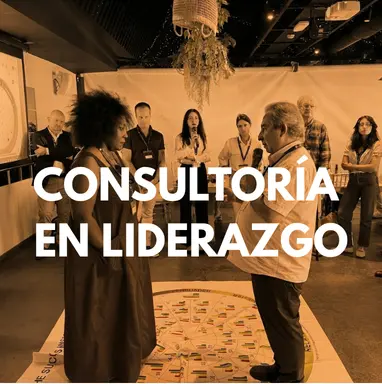 Consultoría estratégica en liderazgo de Eneas Consultores, la consultora estratégica de RRHH y desarrollo del talento líder de ventas en TTI Success Insights.
