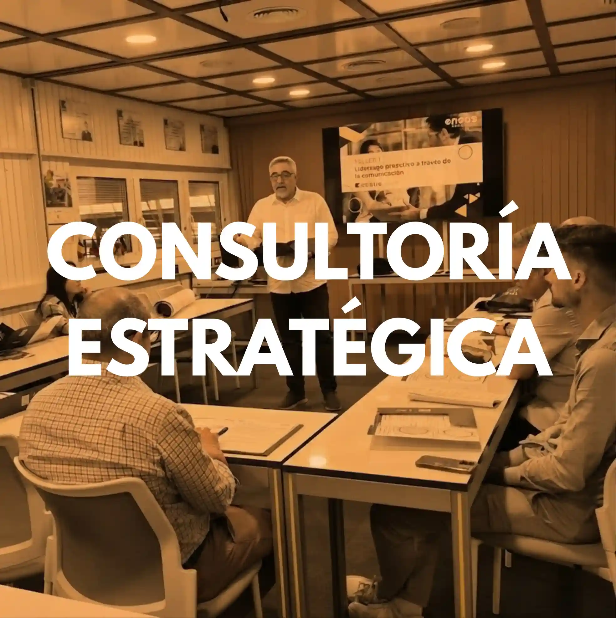 Consultoría estratégica en Eneas Consultores, la consultora estratégica de RRHH y desarrollo del talento líder de ventas en TTI Success Insights.