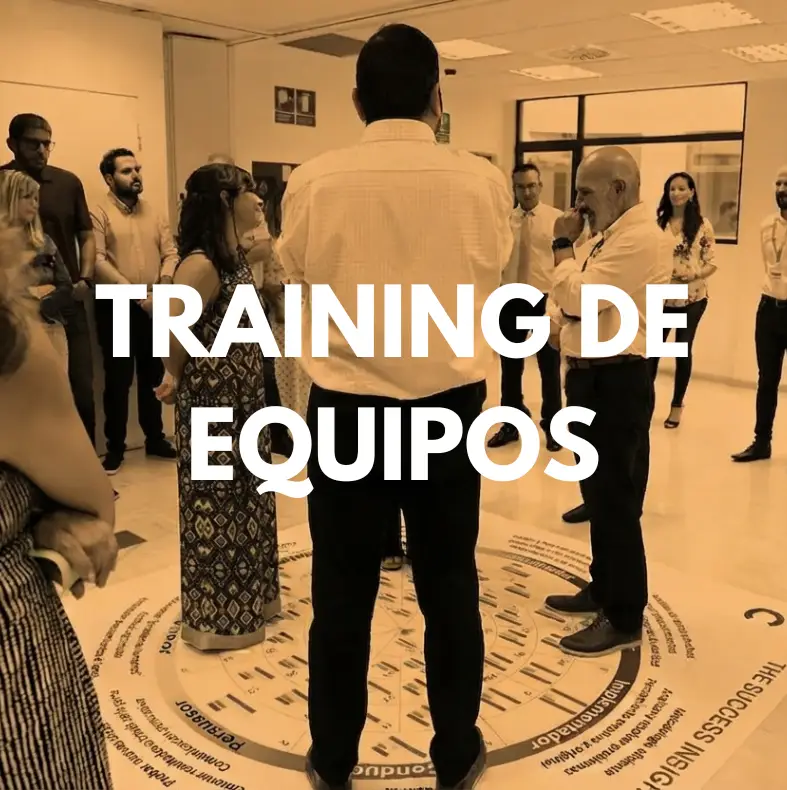 Training de equipos, actividad de Team Building para empresas de Eneas Consultores.