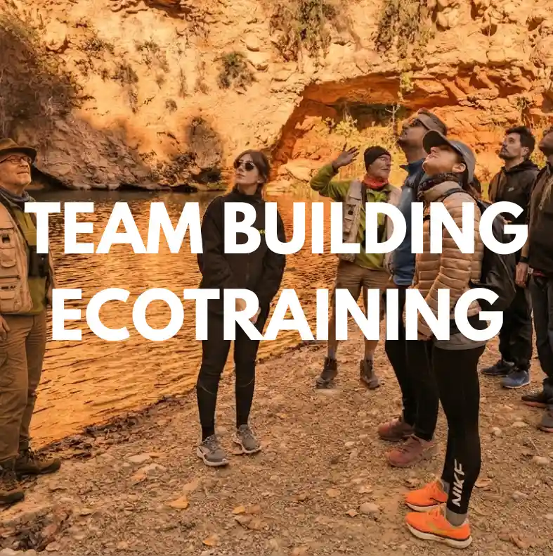Ecotraining, actividad de Team Building para empresas de Eneas Consultores.