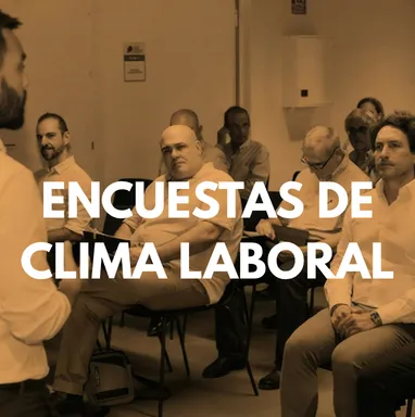 Encuesta de clima laboral de Eneas Consultores, la consultora estratégica de RRHH y desarrollo del talento líder de ventas en TTI Success Insights.