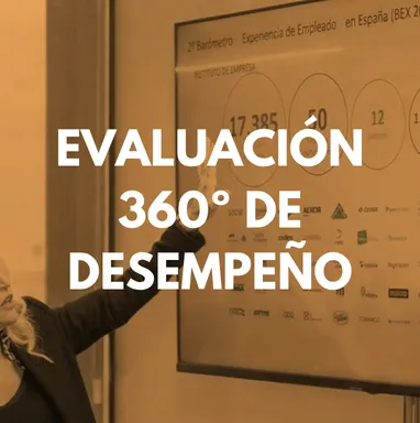 Evaluación 360 de desempeño de Eneas Consultores, la consultora estratégica de RRHH y desarrollo del talento líder de ventas en TTI Success Insights.