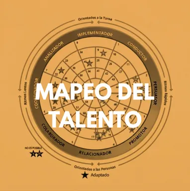 Mapeo del Talento de Eneas Consultores, la consultora estratégica de RRHH y desarrollo del talento líder de ventas en TTI Success Insights.
